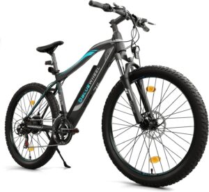 BLUEWHEEL E-Bike