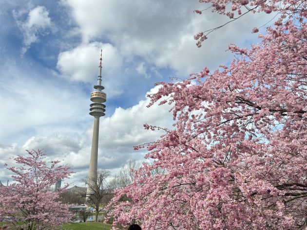 Ostern in München - Termine, Events & Tipps 1 blumen